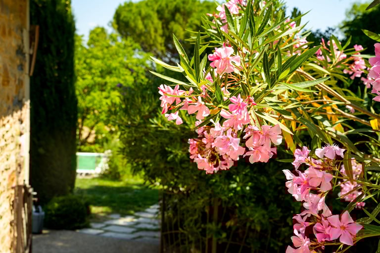 Casa moderna con piscina en Morelos