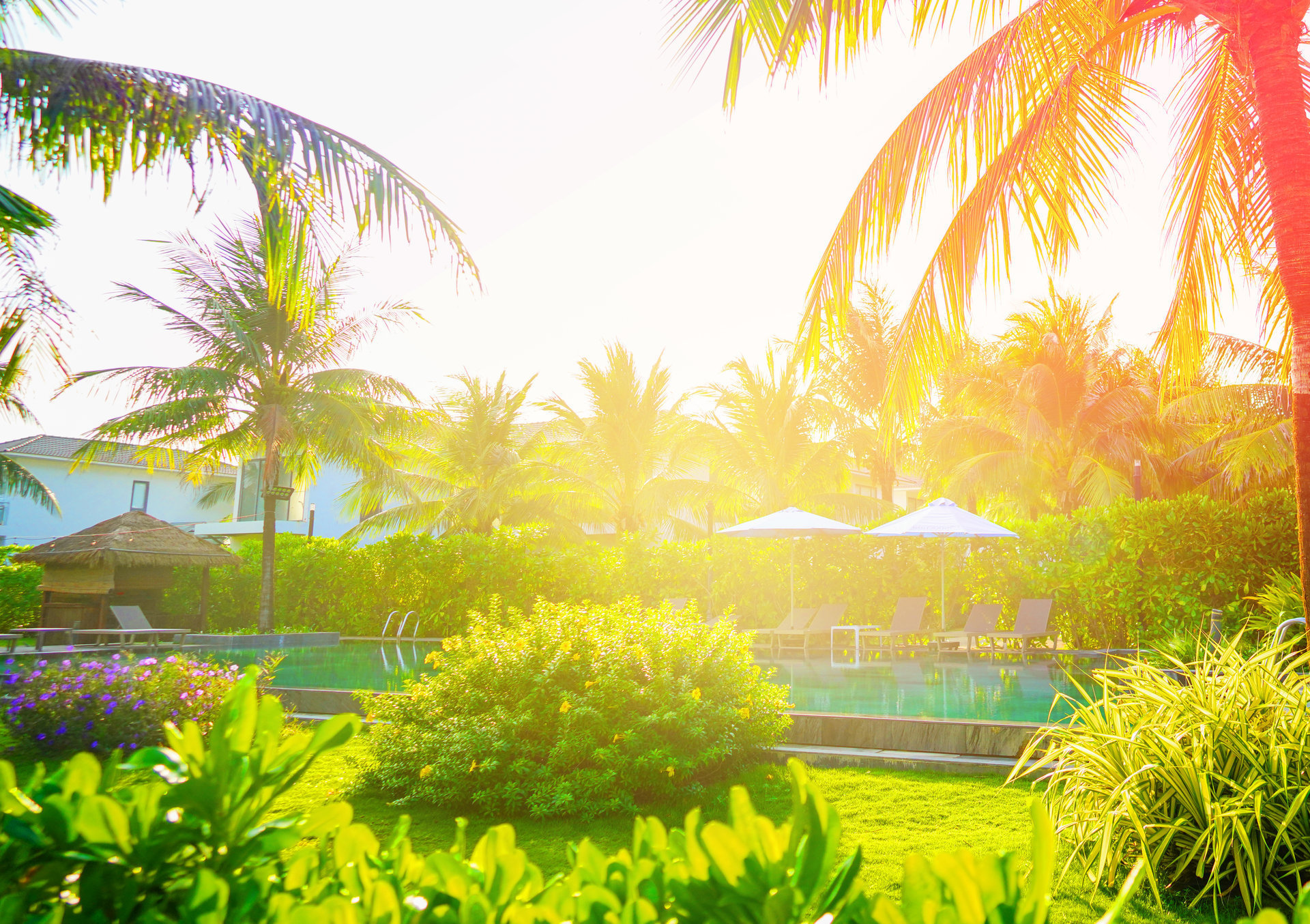 Piscina tropical con palmeras