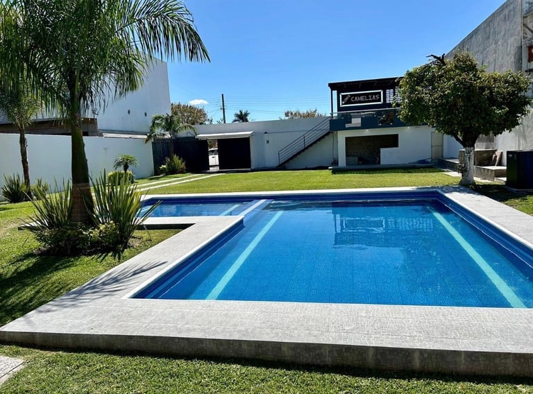 Modern backyard with blue rectangular swimming pool, concrete deck, palm trees, and white contemporary house in background
