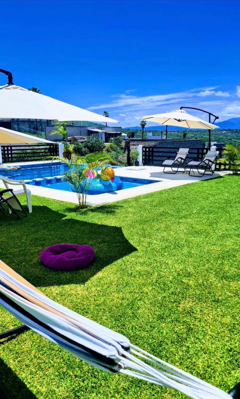 Luxury backyard with blue swimming pool