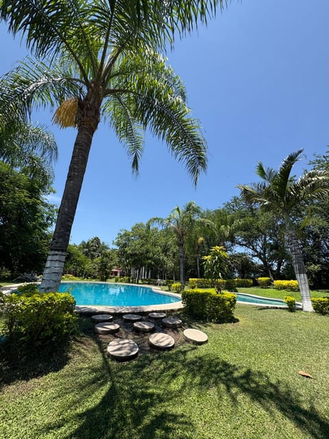 Resort tropical con alberca turquesa y palmeras