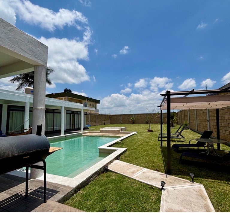 Modern backyard with rectangular swimming pool